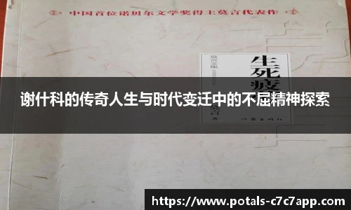 c7娱乐